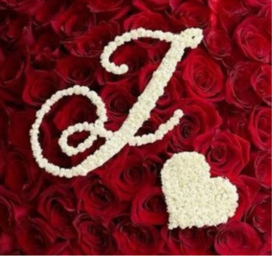 Baby's breath Topper