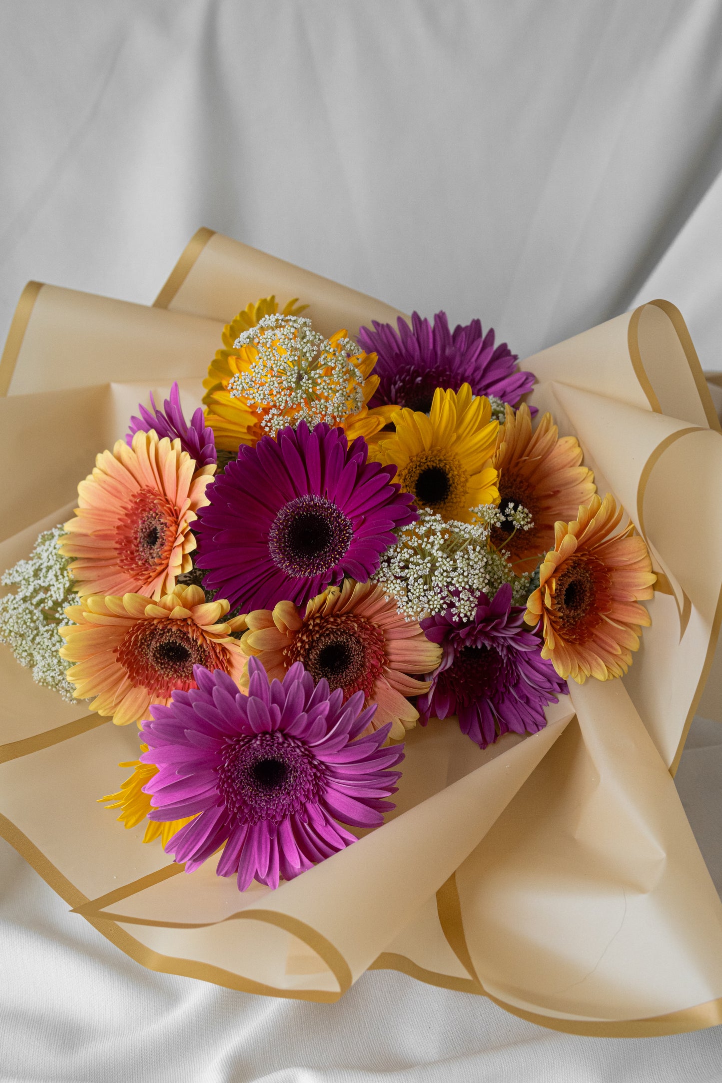 Gerbera Delight