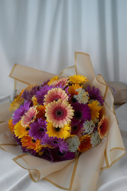 Gerbera Delight