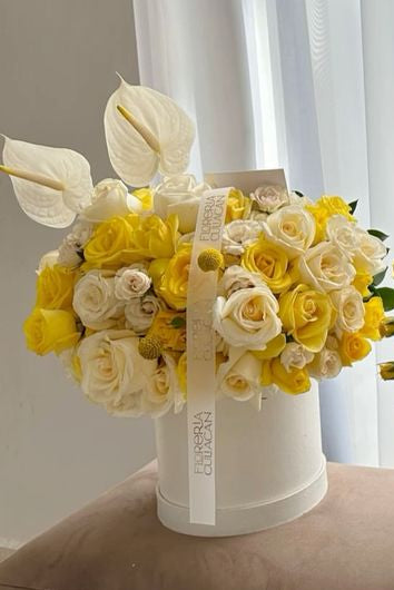 Sunshine Elegance
